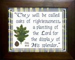 Oaks of Righteousness - Isaiah 61:3